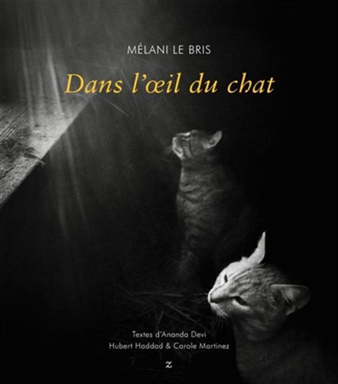 Dans l&#39;oeil du chat - MÉLANI LE BRIS & AL