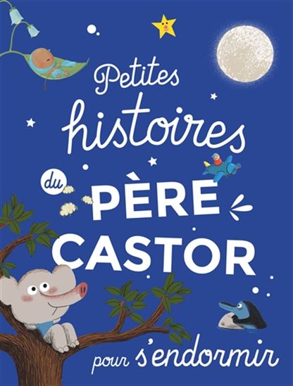 Petites histoires du Père Castor pour s&#39;endormir - COLLECTIF