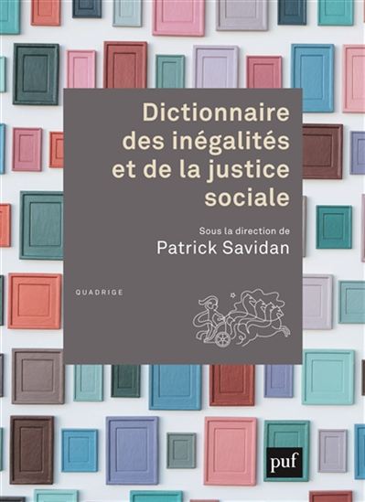 Dictionnaire des inégalités et de la justice sociale - PATRICK SAVIDAN