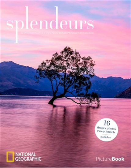Splendeurs : picturebook - COLLECTIF
