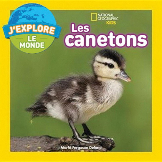 Les Canetons - MARFE FERGUSON DELANO