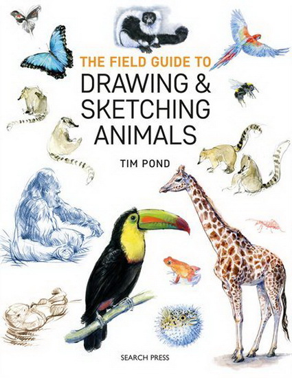 The Field Guide to Drawing and Sketching Animals - TIM POND