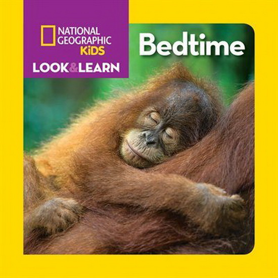 Look & Learn: Bedtime - RUTH A MUSGRAVE