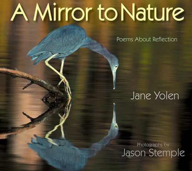 A Mirror to Nature - JANE YOLEN