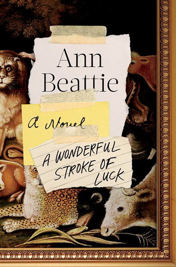 A Wonderful Stroke of Luck - ANN BEATTIE
