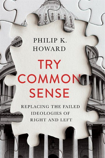 Try Common Sense - PHILIP K HOWARD
