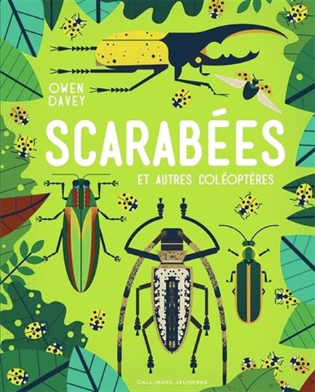 Scarabées : et autres coléoptères - OWEN DAVEY