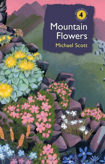 Mountain Flowers - MICHAEL SCOTT