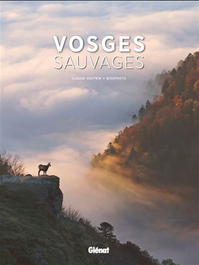 Vosges sauvages - CLAUDE VAUTRIN - BIOSPHOTO