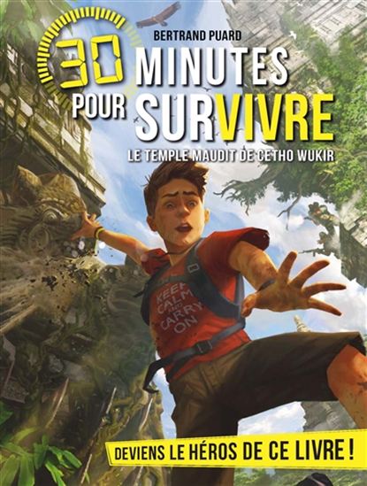 Le Temple maudit de Cetho Wukir - BERTRAND PUARD