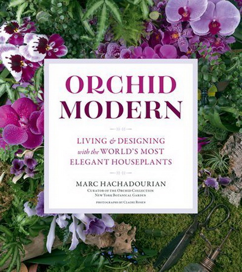 Orchid Modern - MARC HACHADOURIAN