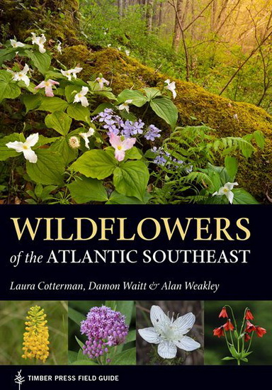 Wildflowers of the Atlantic Southeast - LAURA COTTERMAN & AL