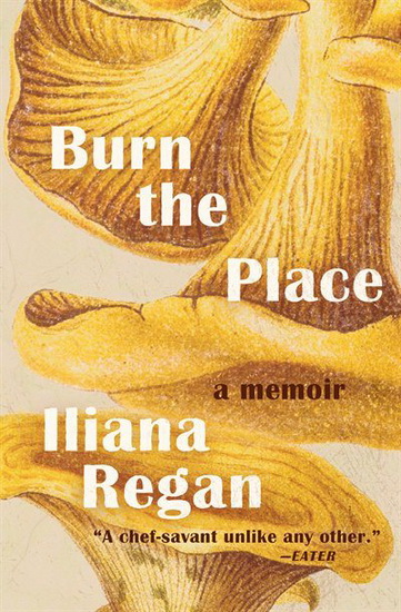Burn the Place - ILIANA REGAN
