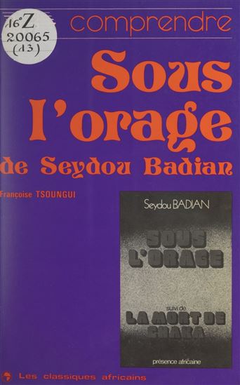 Comprendre "Sous l'orage" de Seydou Badian - FRANÇOISE TSOUNGUI
