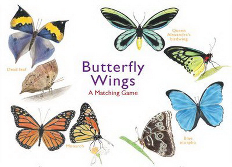 Butterfly Wings - CHRISTINE BERRIE