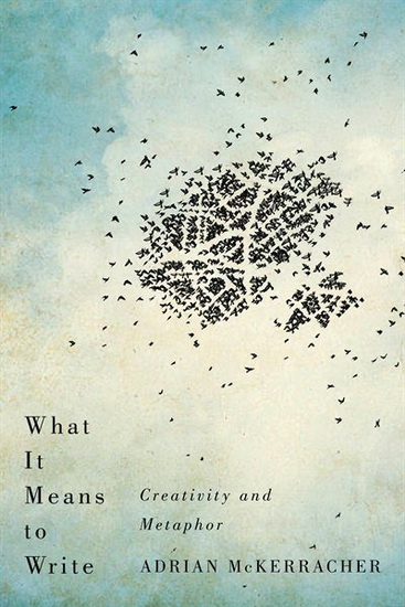 What It Means to Write - ADRIAN MCKERRACHER