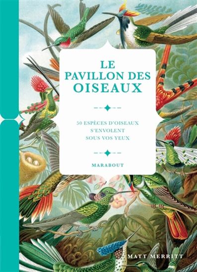 Le Pavillon des oiseaux : 50 espèces d&#39;oiseaux s&#39;envolent sous vos yeux - MATT MERRITT