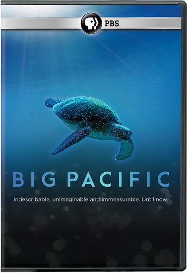 Big Pacific