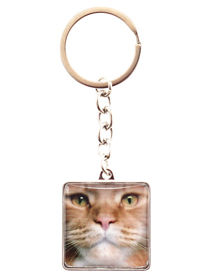 Porte-clés visage Chat 4AS