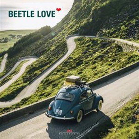 Beetle Love - NADJA KNEISSLER