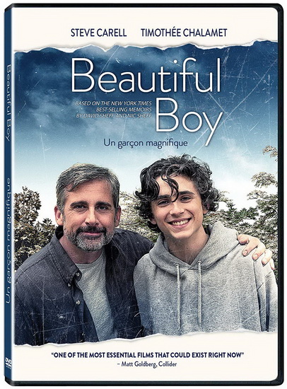 Beautiful Boy - FELIX VAN GROENIGEN