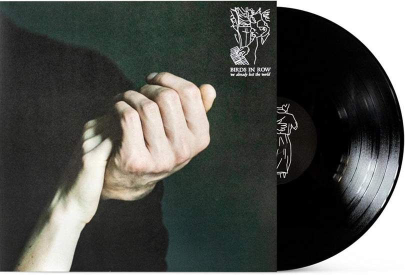 We Already Lost the World (Vinyl) - BIRDS IN ROW