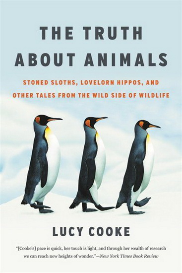 Truth About Animals : Stoned Sloths Lovelorn Hippos and Other Tales from the Wild Side of Wildlife - LUCY COOKE