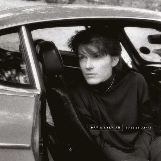 Gone To Earth (2Vinyl-180gr.) - DAVID SYLVIAN