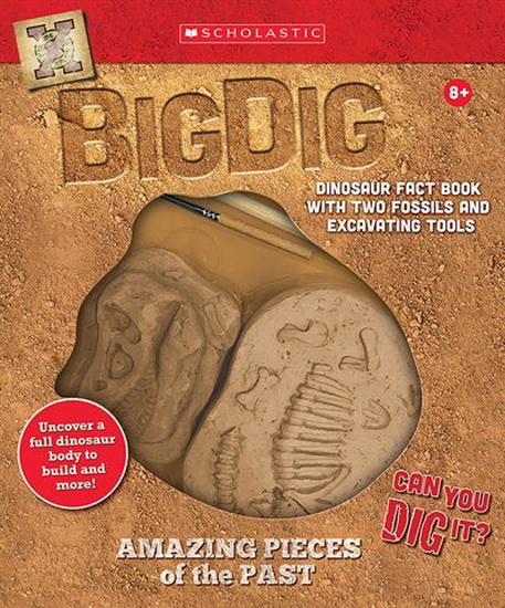 Big Dig Excavation Kit - COLLECTIF