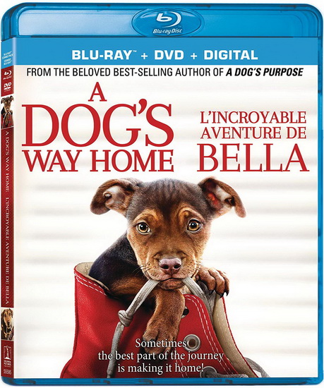 A Dog&#39;s Way Home (L&#39;Incroyable aventure de Bella) (Blu-Ray+Dvd) - CHARLES MARTIN SMITH