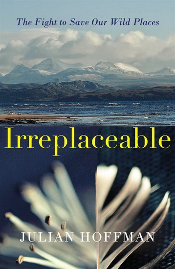 Irreplaceable - JULIAN HOFFMAN
