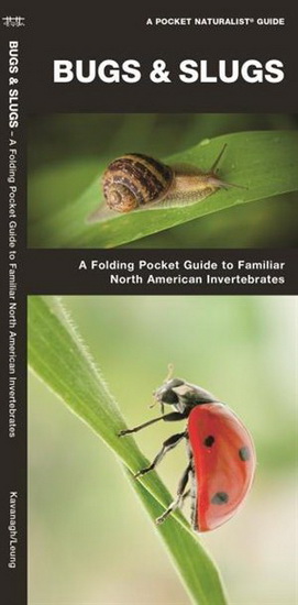 Bugs & Slugs: A Folding Pocket Guide to Familiar North American Invertebrates, Second Edition - COLLECTIF