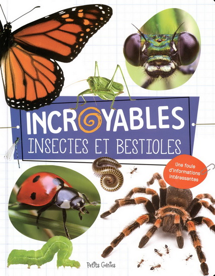 Incroyables insectes et bestioles - COLLECTIF