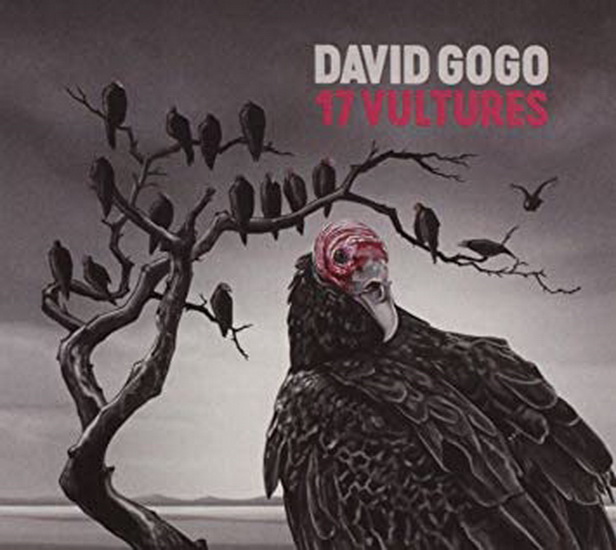 17 Vultures (Vinyl) - DAVID GOGO