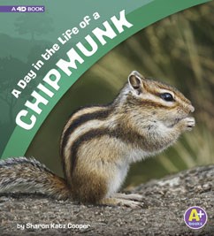 A Day in the Life of a Chipmunk - SHARON KATZ COOPER