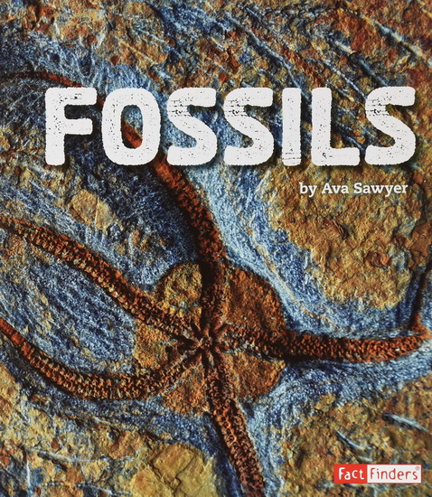 Fossils - AVA SAWYER