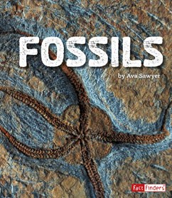 Fossils - AVA SAWYER
