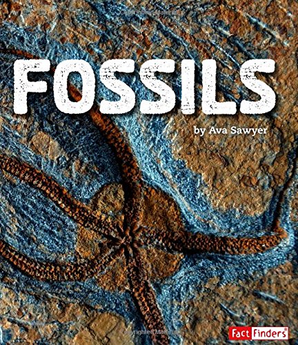 Fossils - AVA SAWYER