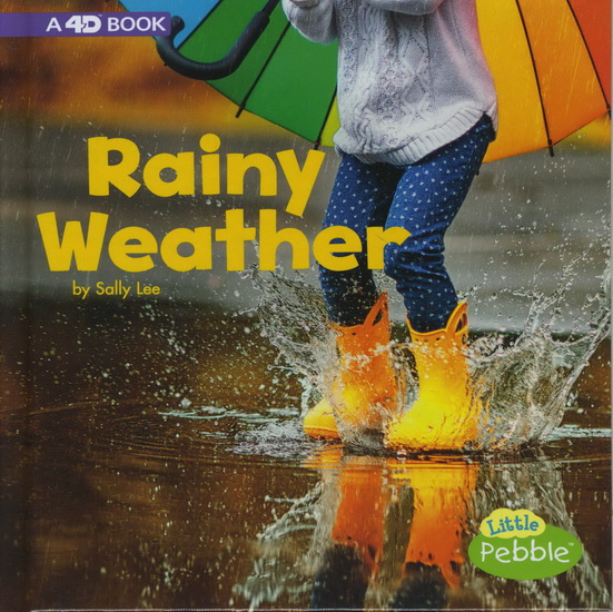 Rainy Weather - SALLY LEE