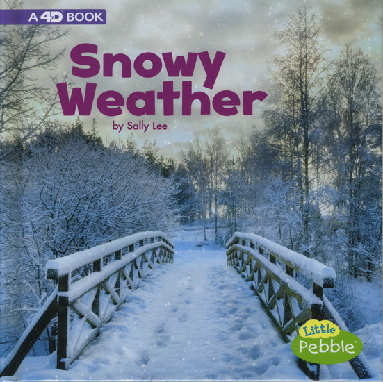 Snowy Weather - SALLY LEE