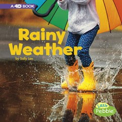 Rainy Weather - SALLY LEE
