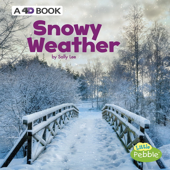 Snowy Weather - SALLY LEE