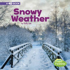 Snowy Weather - SALLY LEE