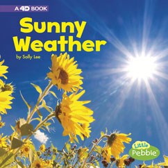Sunny Weather - SALLY LEE