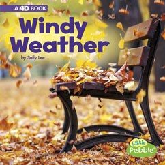 Windy Weather - SALLY LEE
