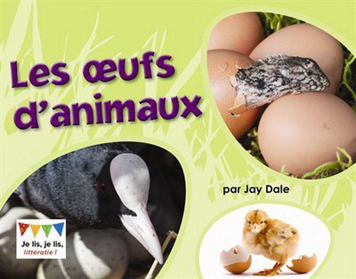 Les oeufs d&#39;animaux - JAY DALE
