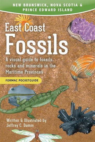 East Coast Fossils - JEFFREY C DOMM
