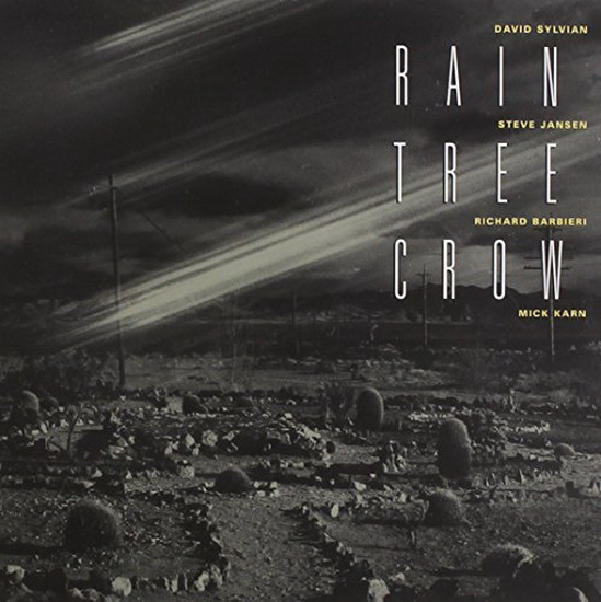 Rain Tree Crow (Vinyl) - RAIN TREE CROW
