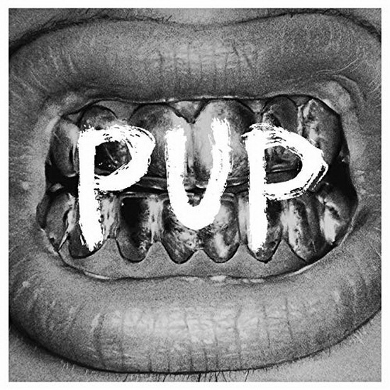 Pup (Vinyl picture disc) - PUP