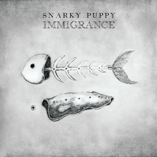 Immigrance - SNARKY PUPPY